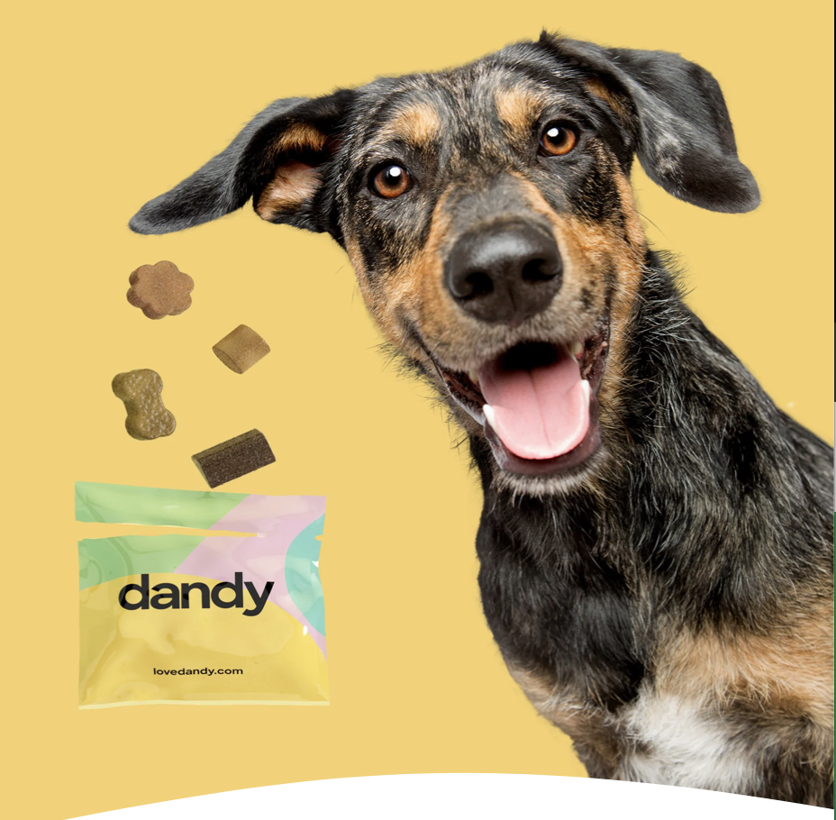 Discount Codes — Jakoba German Shepherds